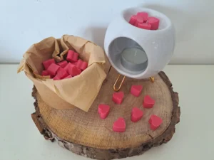 Σετ αρωματιστης και wax melts!