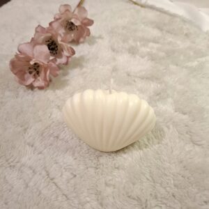 “Shell”