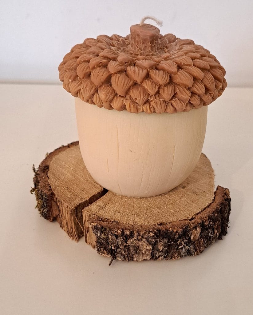 Αρωματικό κερί βελανίδι