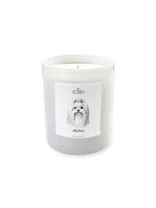 Pet Collection – Αρωματικό Κερί Σόγιας White Gloss